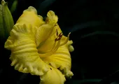 NEW MAY 2011 064