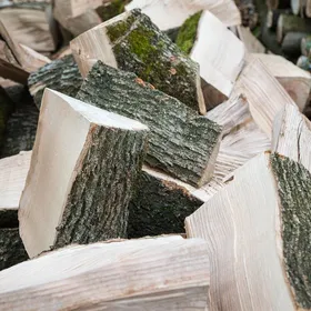 timber server window