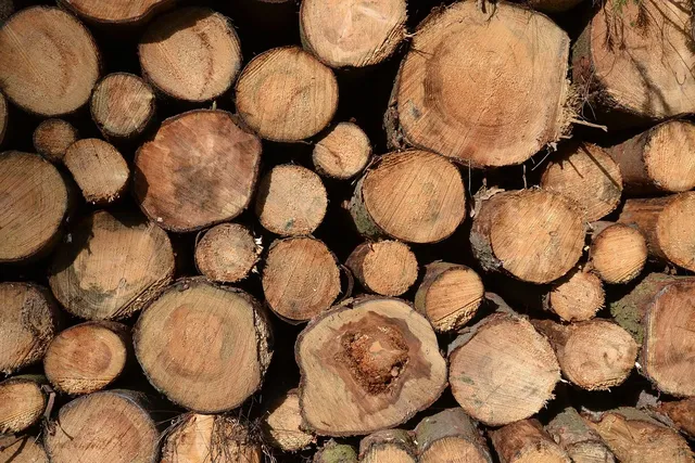 MTCC environmentally sustainable timber