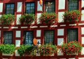 Awning Windows 3