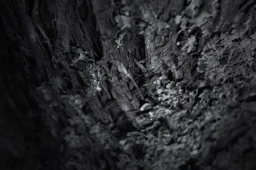 Timber from Sustainable Sources