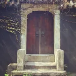 timber entrance door double antique inside